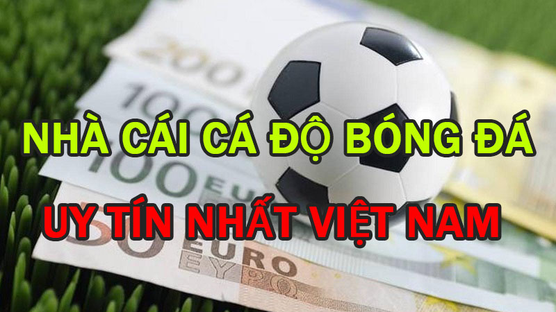 cach tai app ca cuoc bong da va nhung tinh nang dac biet cua no